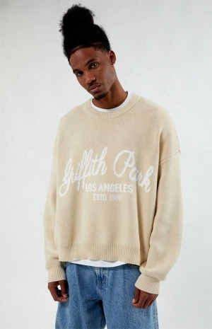 Chandails PacSun Griffith Park Homme Marron | 297614DWX