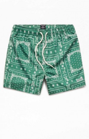 Chandails PacSun Recycled Bandana Block Green 4.5" Swim Trunks Homme Vert | 534872XBL