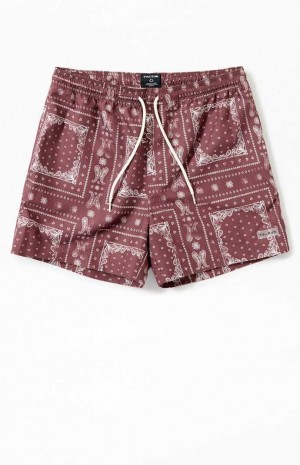 Chandails PacSun Recycled Bandana Block 4.5" Swim Trunks Homme Marron | 178094XDA