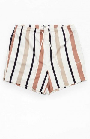 Chandails PacSun Stripe 4.5" Swim Trunks Homme Multicolore | 503764BCR