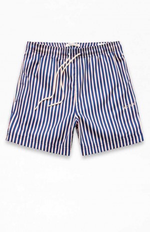 Chandails PacSun Stripe 4.5" Swim Trunks Homme Bleu | 689012EVN