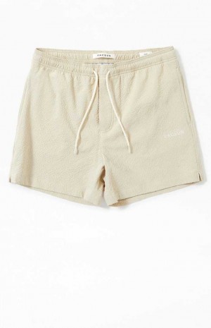 Chandails PacSun Tan Sail Seersucker 4.5" Swim Trunks Homme Marron | 549183OIJ