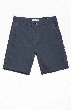 Short PacSun Blue Grey Carpenter Homme Bleu Grise | 312604RSA