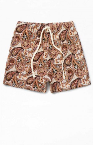 Short PacSun Paisley Tapestry Homme Marron | 927564MWY