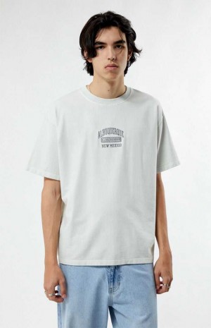 T-shirt PacSun Albuquerque New Mexico Embroidered Homme Blanche | 159460LOU