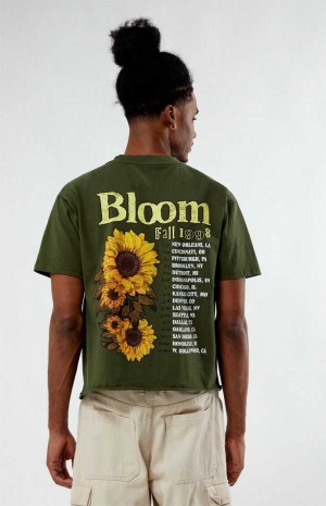 T-shirt PacSun Bloom Cropped Homme Vert Olive | 925401QUJ