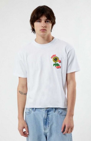 T-shirt PacSun Express Ya Self Cropped Homme Blanche | 891634VWI