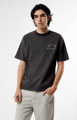 T-shirt PacSun Hidden Hills Stitched Homme ASPHALT | 176924XET