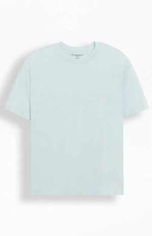 T-shirt PacSun PS Basics Reece Homme Bleu Clair | 854732ETC