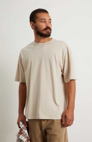 T-shirt PacSun PS Basics Solid Boxy Homme Argent | 364257DHL