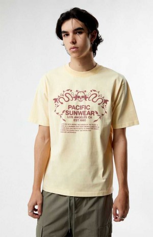 T-shirt PacSun Pacific Sunwear Behind The Horizons Homme Marron | 907538SBY