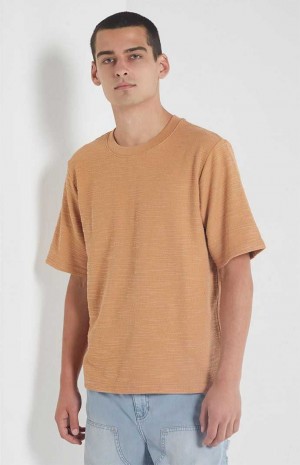 T-shirt PacSun Tan Scout Texture Homme Marron | 912586XWT