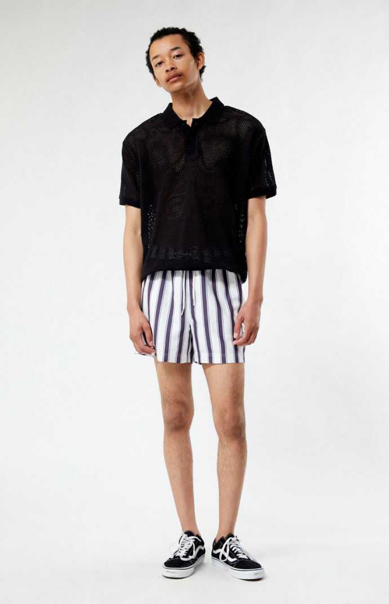 Chandails PacSun Charcoal Stripe 4.5 Swim Trunks Homme Grise | 017458DPO