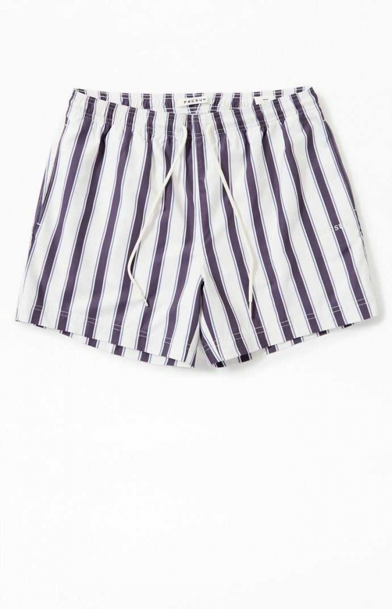 Chandails PacSun Charcoal Stripe 4.5 Swim Trunks Homme Grise | 017458DPO