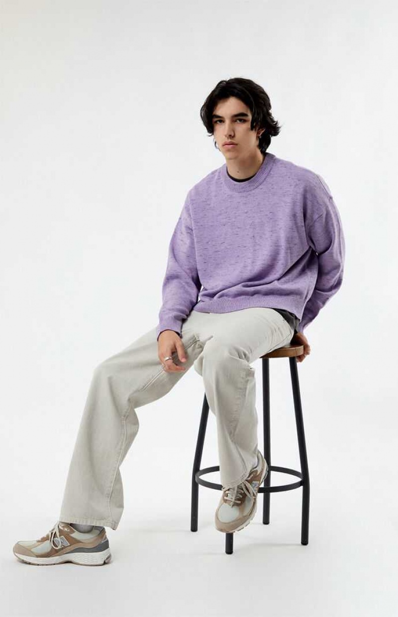 Chandails PacSun Purple Cropped Crew Homme Violette | 162854YIO