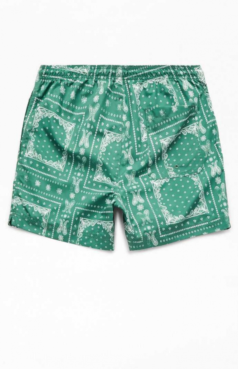 Chandails PacSun Recycled Bandana Block Green 4.5