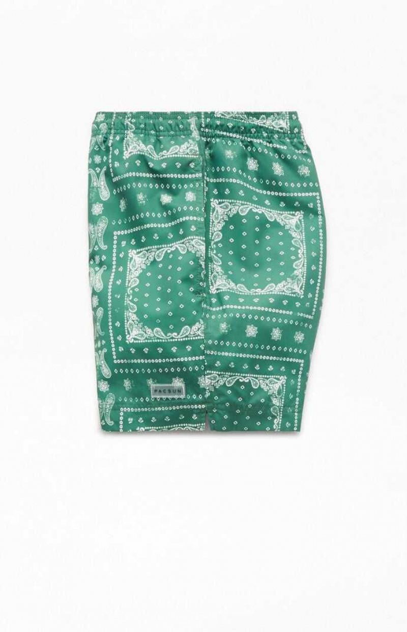 Chandails PacSun Recycled Bandana Block Green 4.5