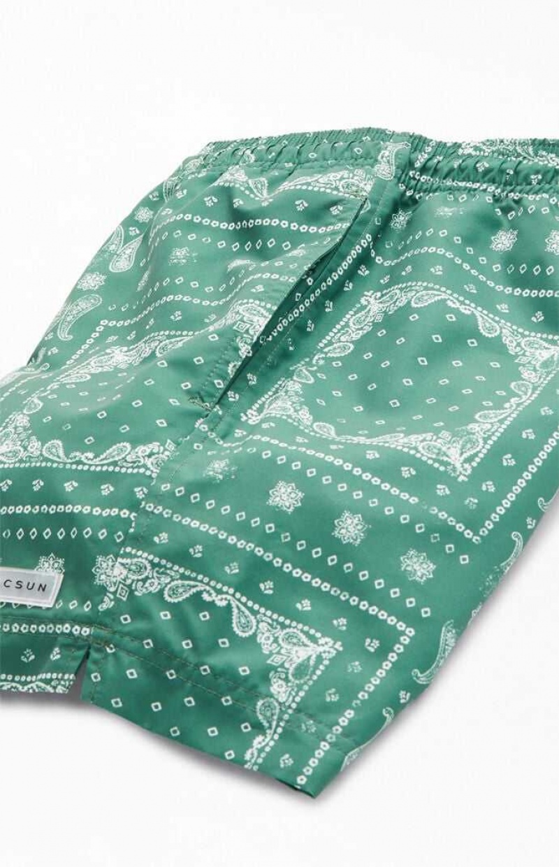 Chandails PacSun Recycled Bandana Block Green 4.5