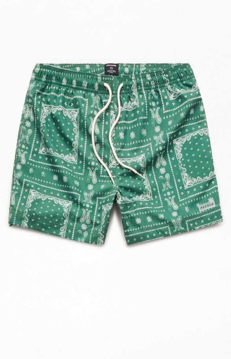 Chandails PacSun Recycled Bandana Block Green 4.5\