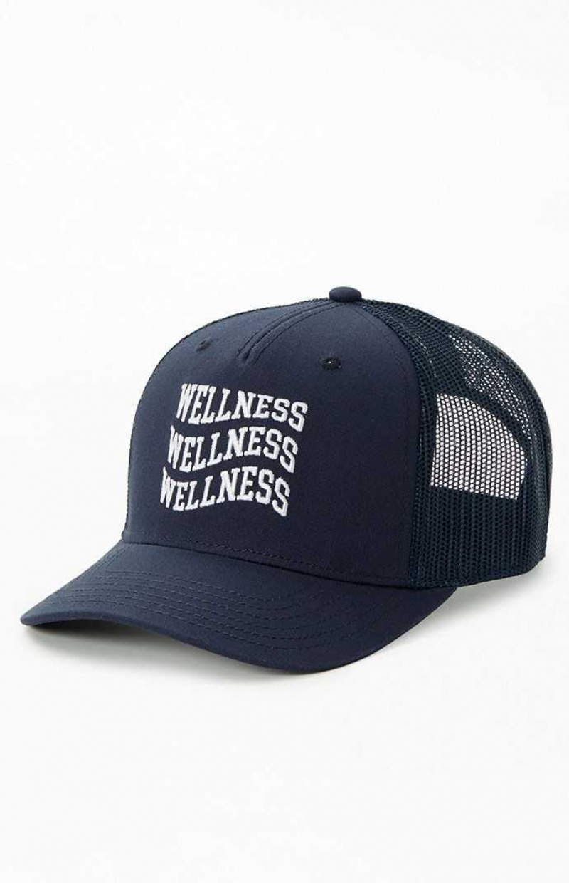 Chapeau PacSun Wavy Wellness Trucker Femme Bleu Marine | 419527LEN