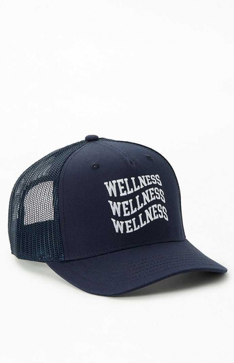 Chapeau PacSun Wavy Wellness Trucker Femme Bleu Marine | 419527LEN