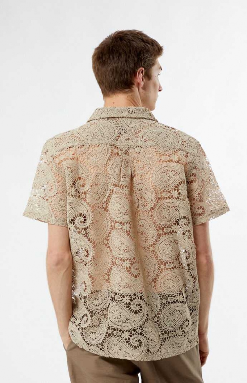 Chemises PacSun Dentelle Paisley Woven Camp Homme Marron | 720351DNB