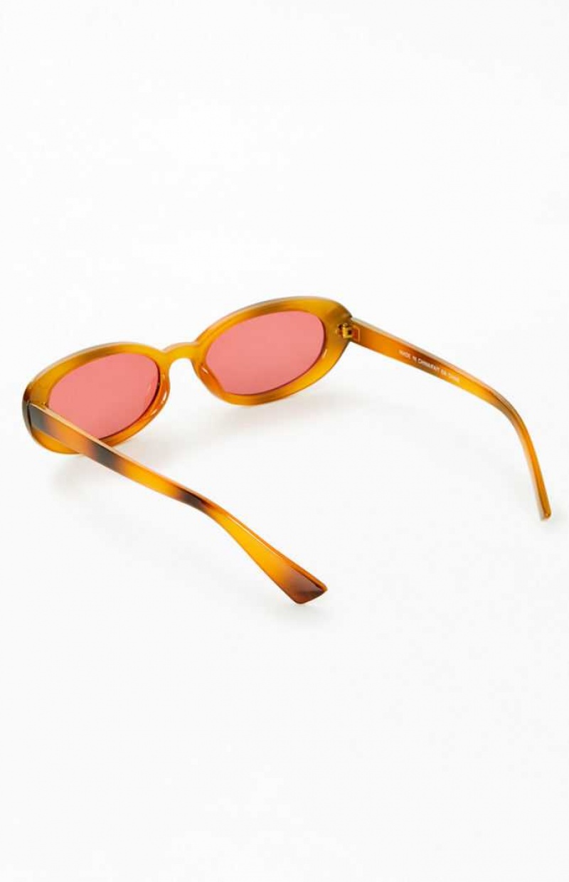 Lunette de Soleil PacSun Brown Plastic Round Femme Marron | 465871RAE