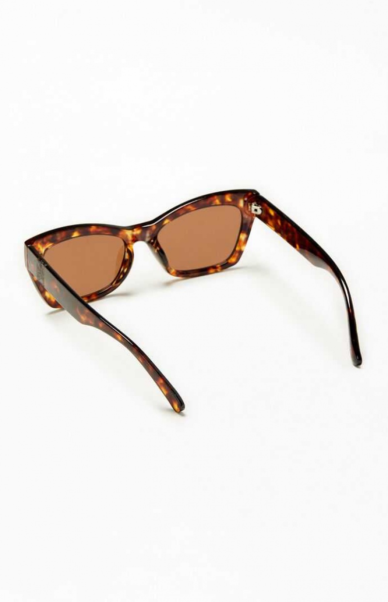 Lunette de Soleil PacSun Square Cat Eye Homme TORTOISE | 543198EBG