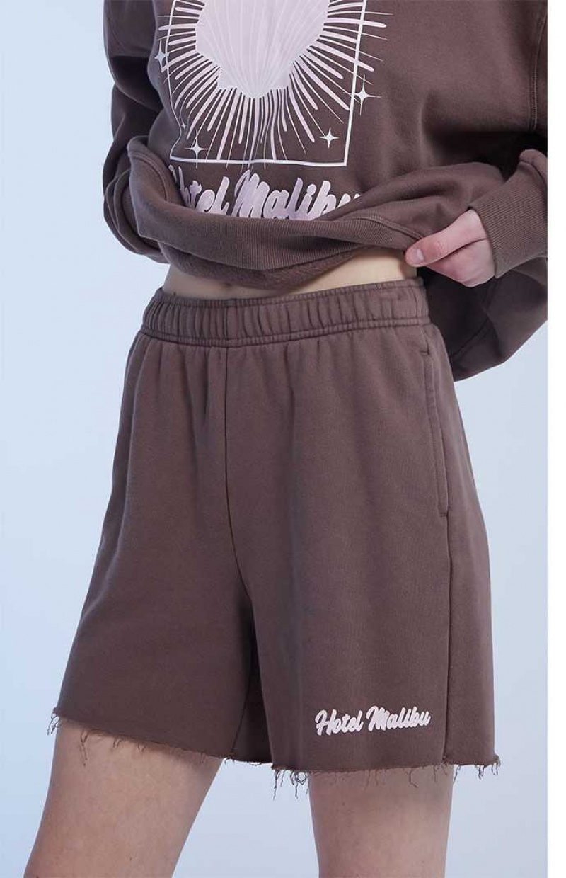 Pantalons PacSun Hotel Malibu Sweat Femme Marron | 107528CXI