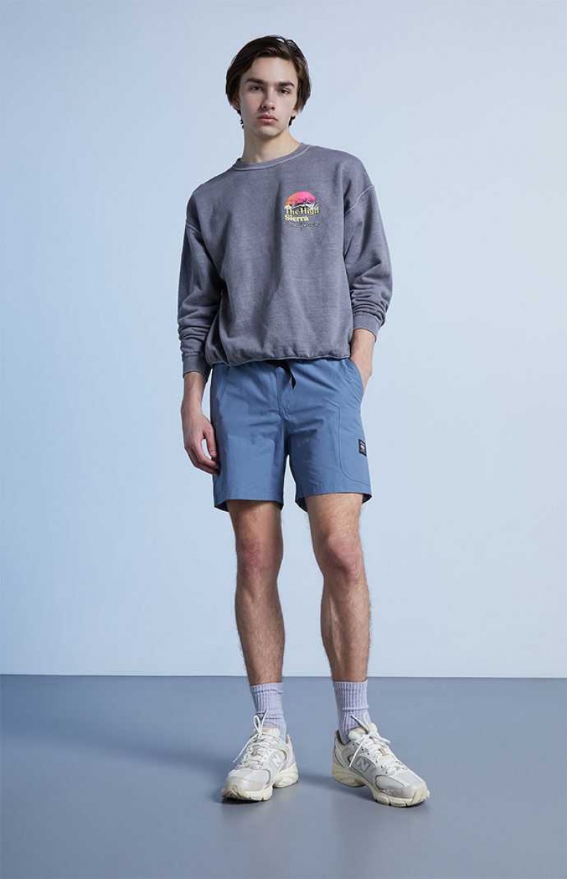 Short PacSun Blue Homme Bleu | 021397UKX