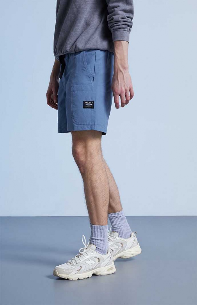 Short PacSun Blue Homme Bleu | 021397UKX