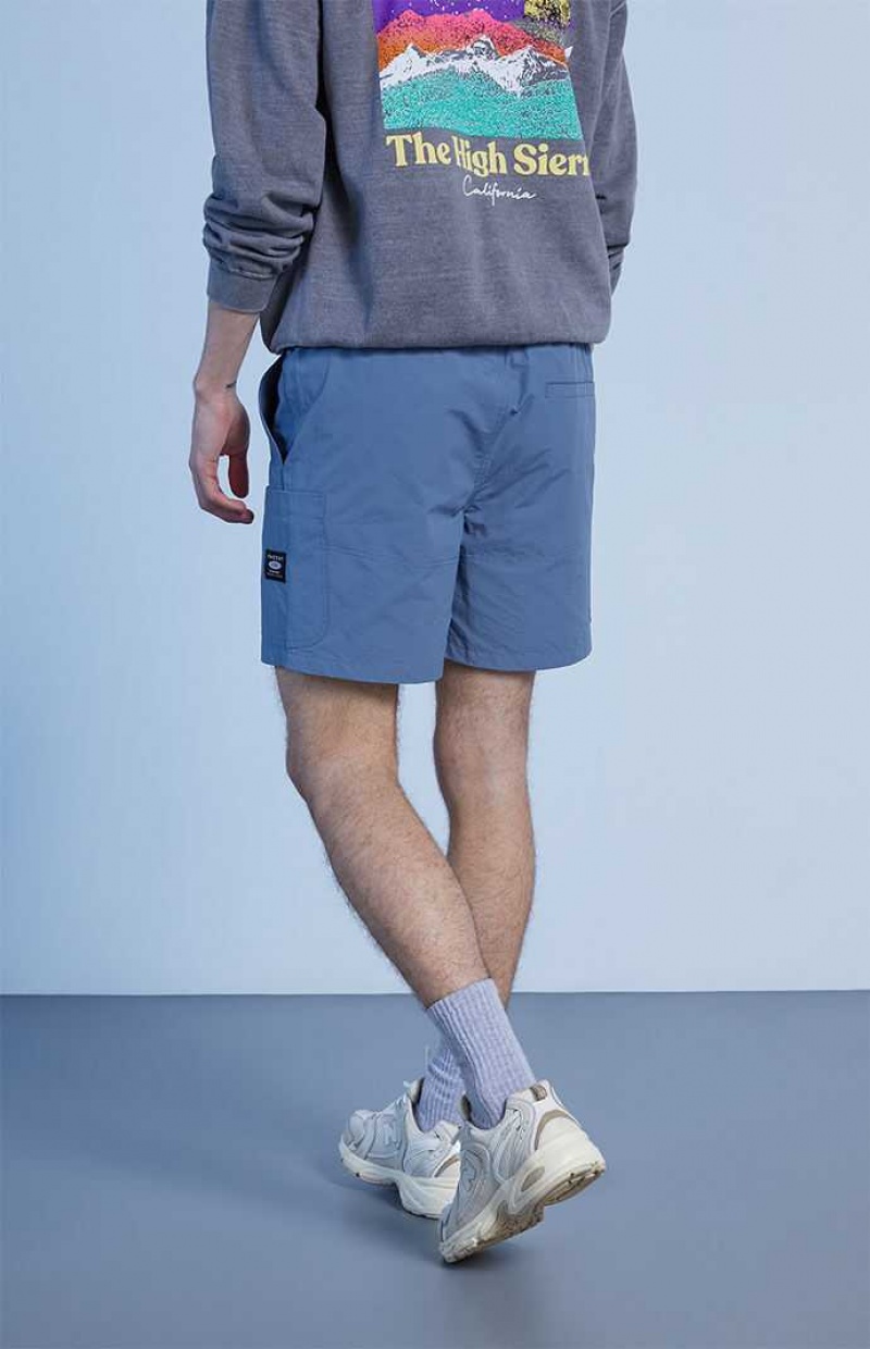 Short PacSun Blue Homme Bleu | 021397UKX