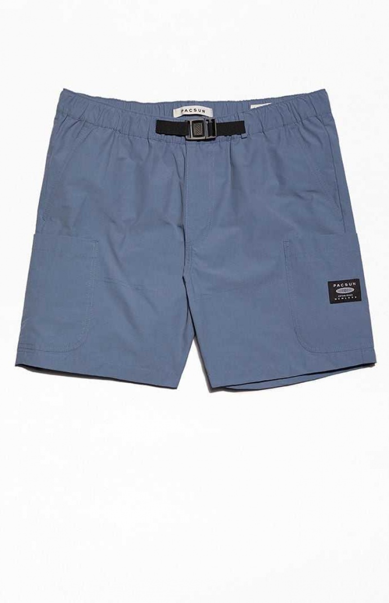 Short PacSun Blue Homme Bleu | 021397UKX