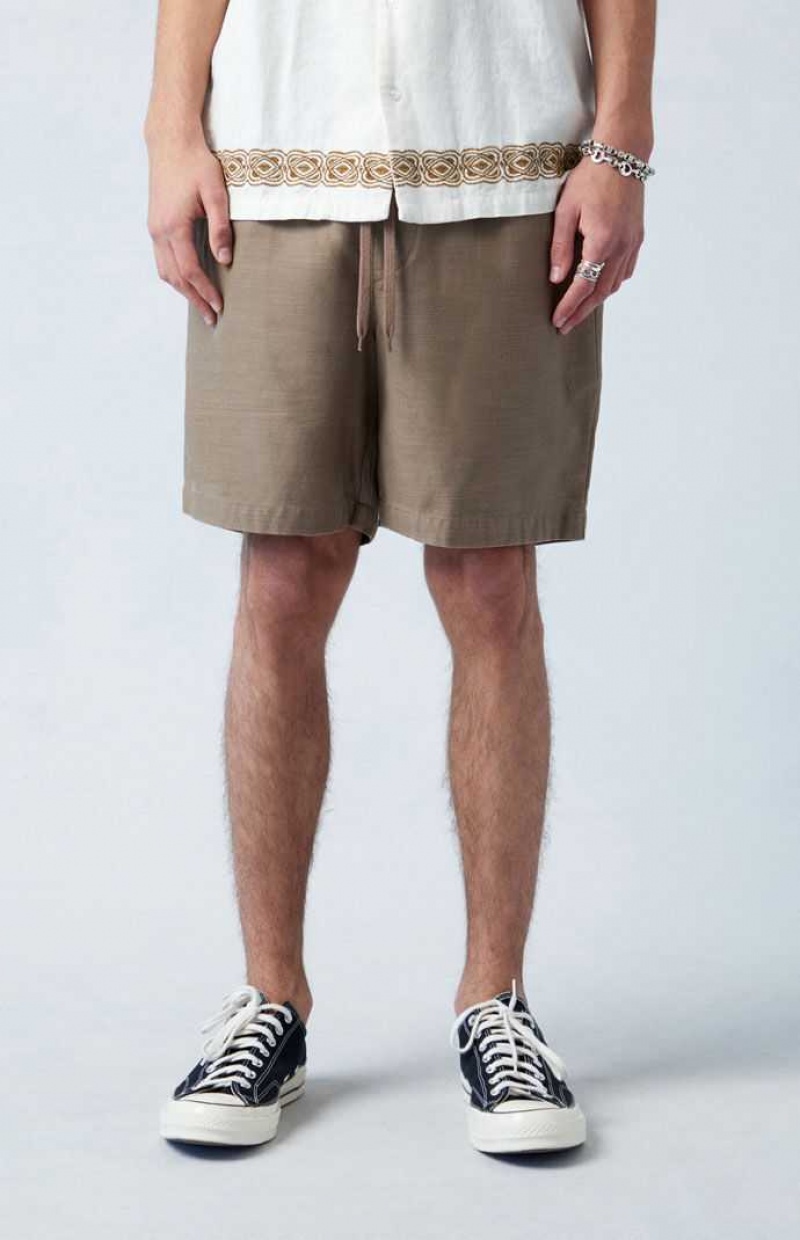 Short PacSun Brown Volley Homme Grise Marron | 051283UKY