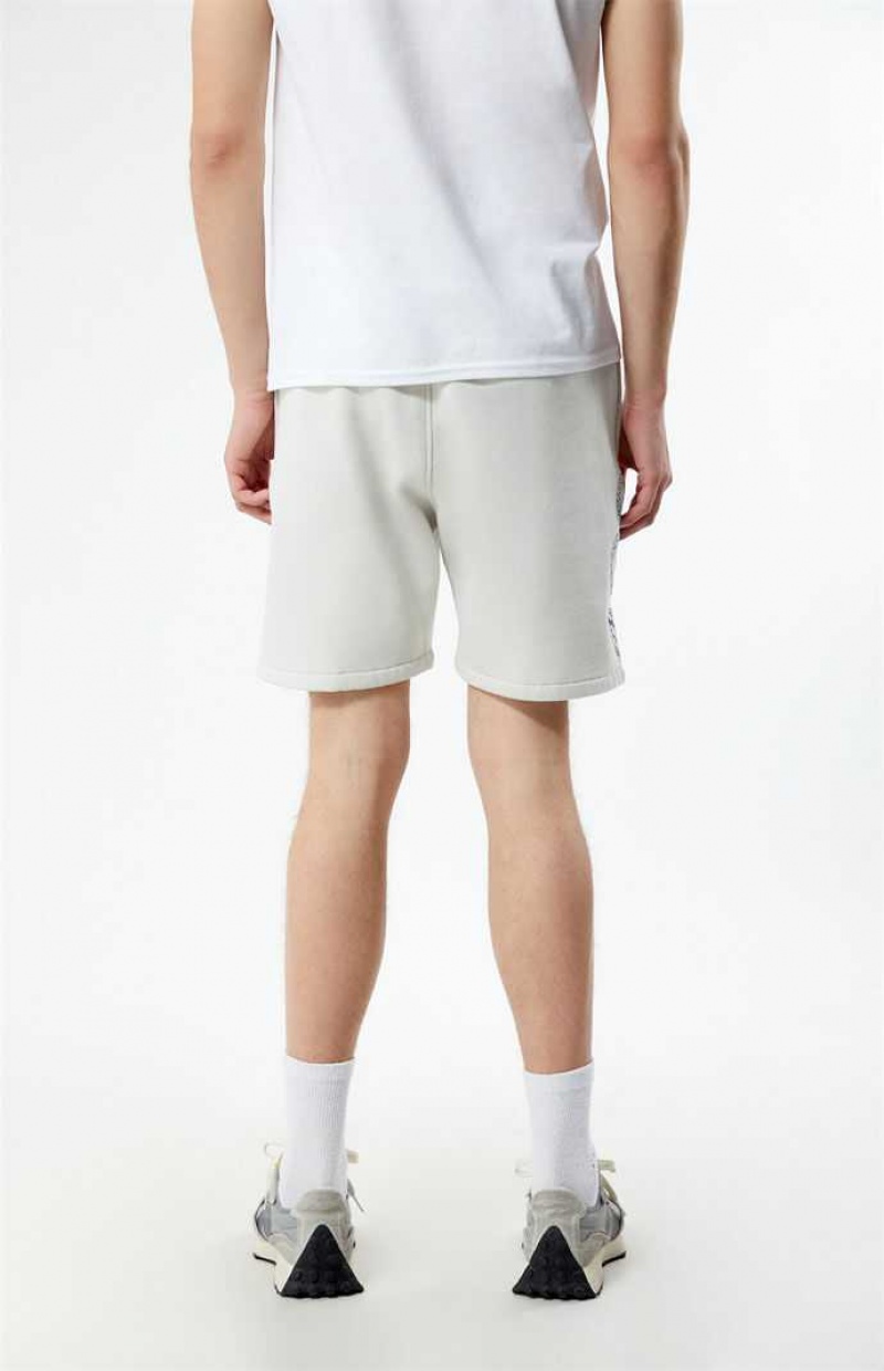 Short PacSun DTLA Pacific Sunwear Fleece Sweat Homme Blanche | 059627ZDT