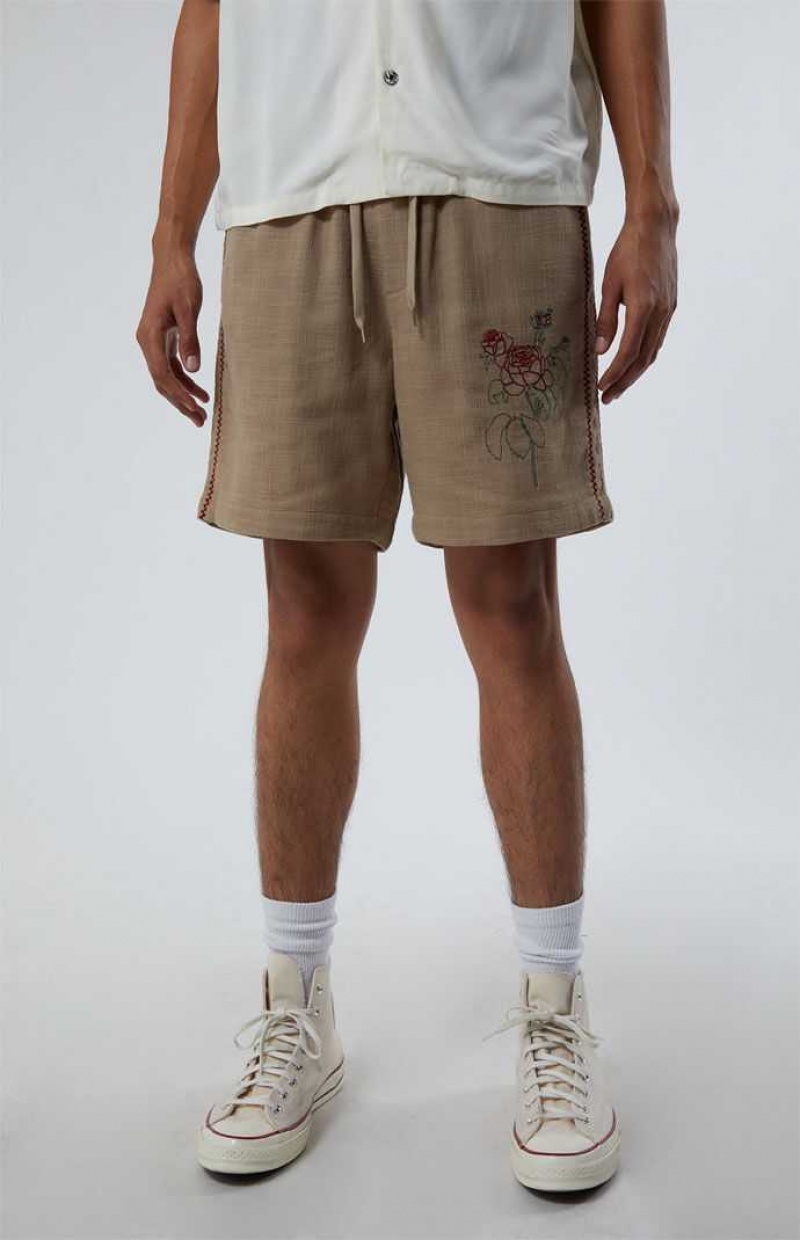 Short PacSun Embroidered Linen Volley Homme Marron | 234760DYM