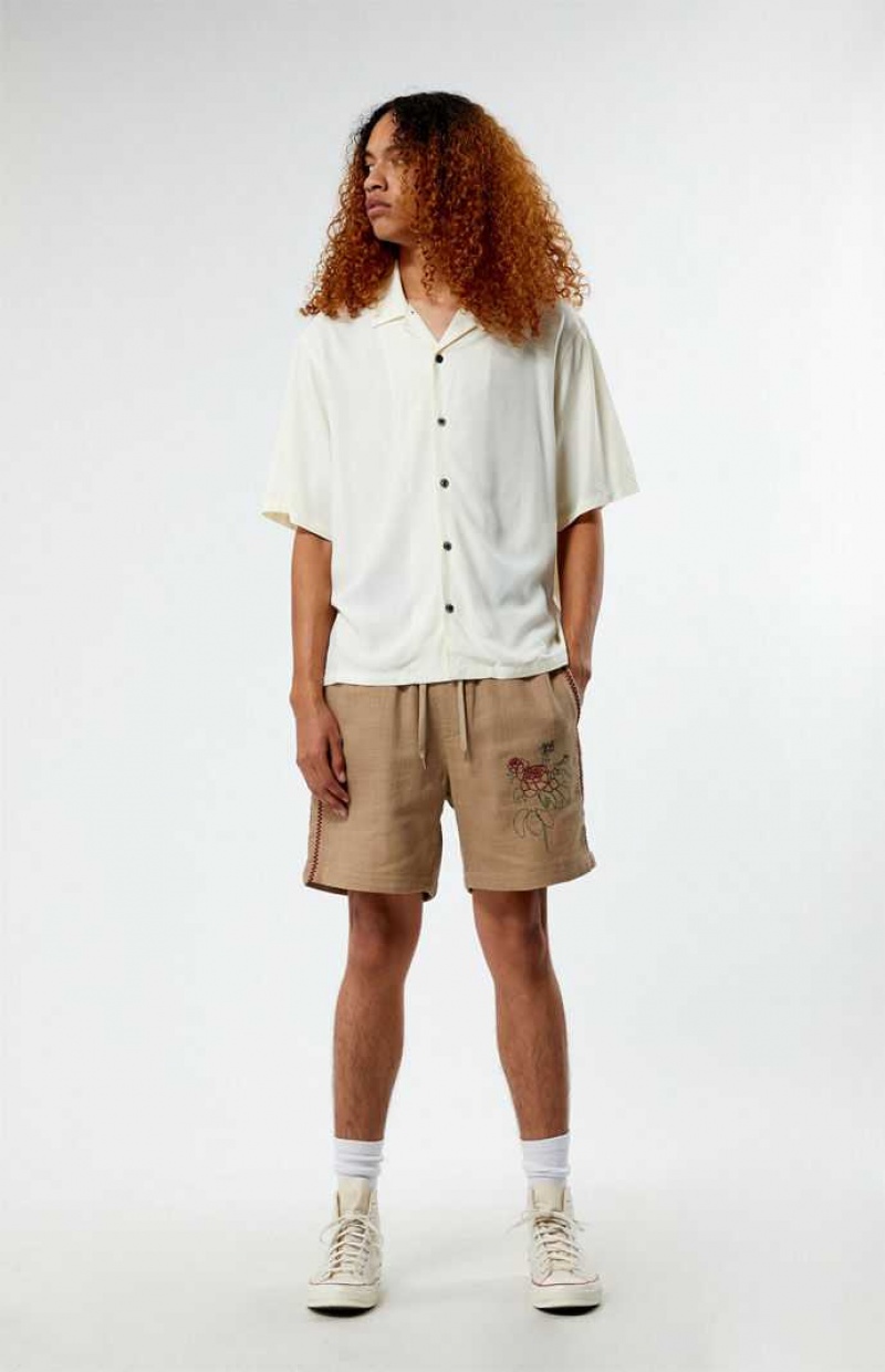 Short PacSun Embroidered Linen Volley Homme Marron | 234760DYM