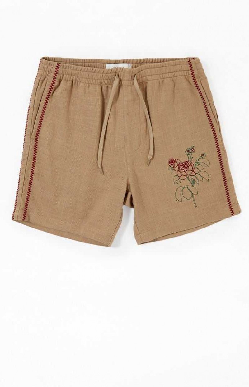 Short PacSun Embroidered Linen Volley Homme Marron | 234760DYM