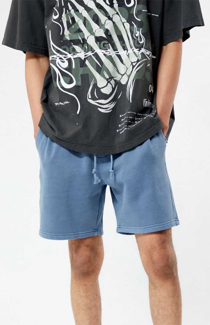 Short PacSun Fleece Volley Homme Bleu | 837412WTY