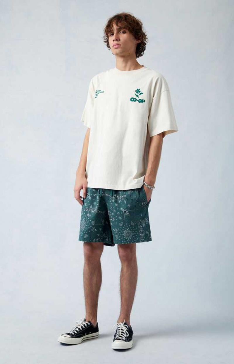 Short PacSun Green Reed Printed Twill Volley Homme Vert | 830724WVR