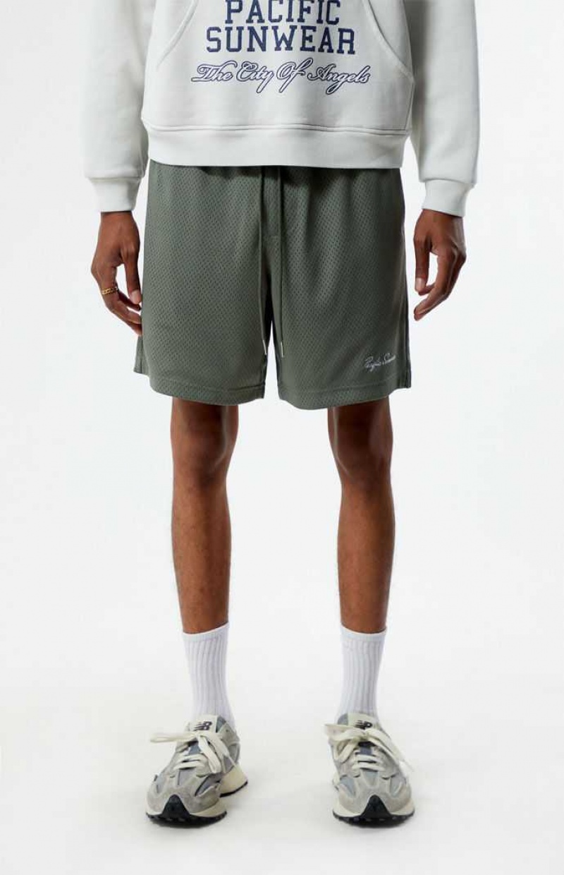 Short PacSun Pacific Sunwear Mesh Homme Vert | 610845FRS