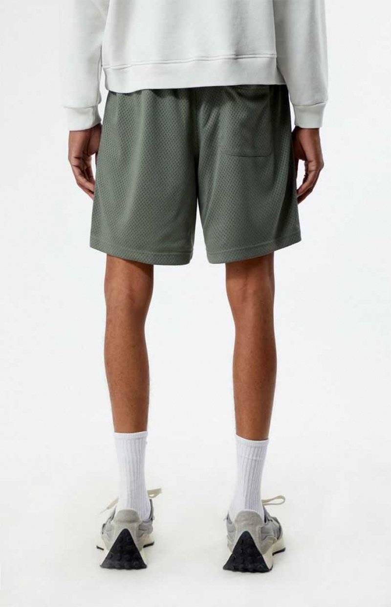 Short PacSun Pacific Sunwear Mesh Homme Vert | 610845FRS