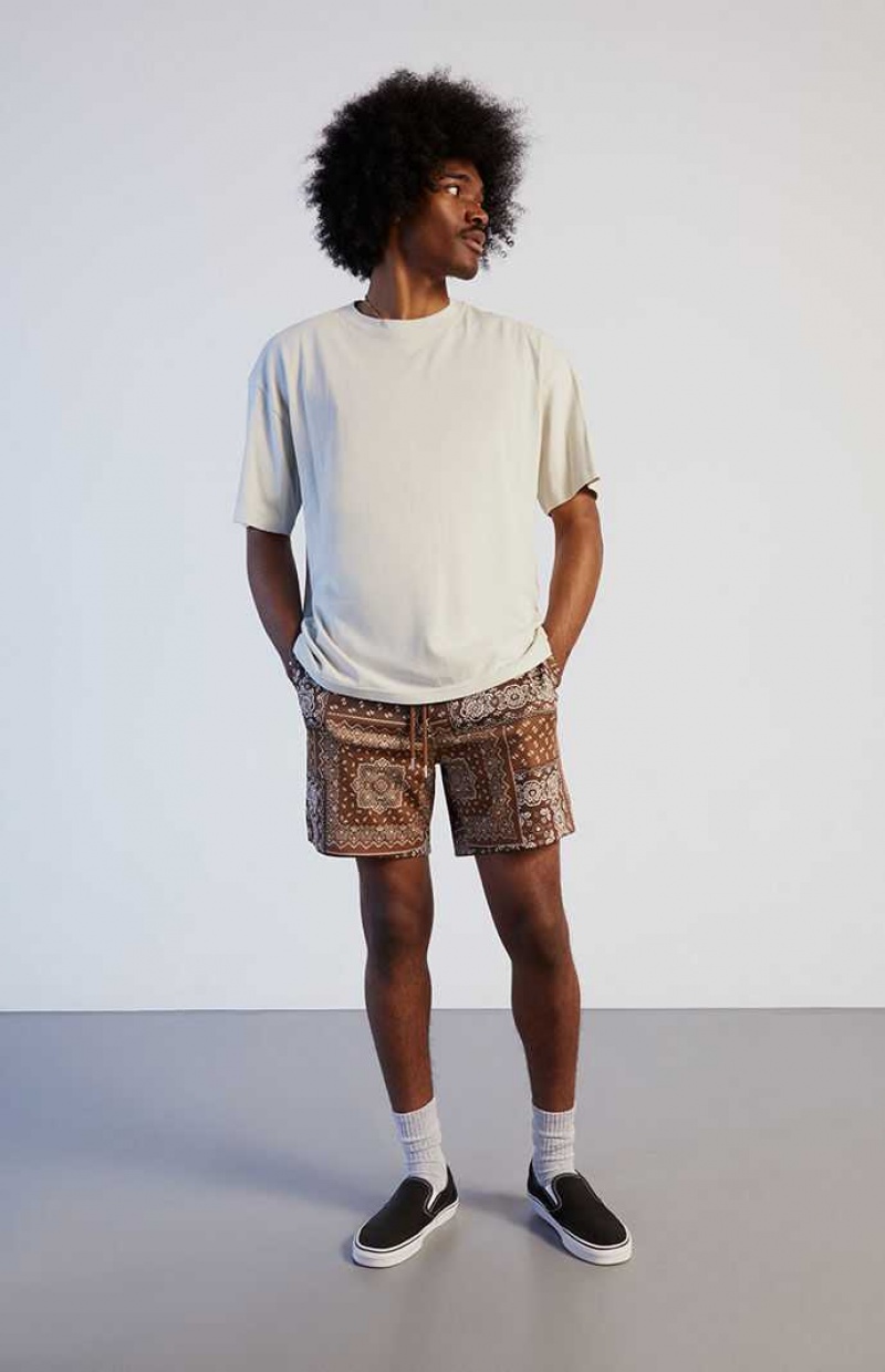 Short PacSun Paisley Mesh Homme | 283704UHJ