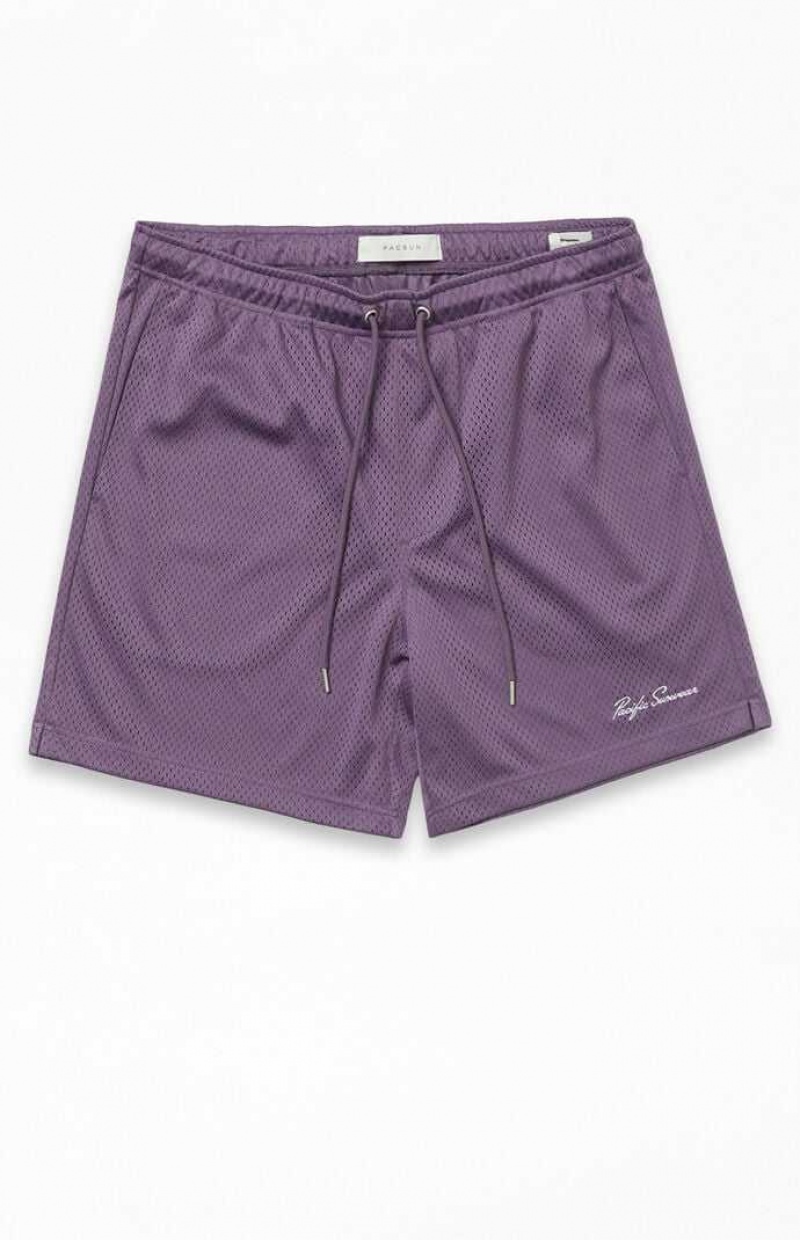 Short PacSun Purple Mesh Basketball Homme Violette | 549162TQG