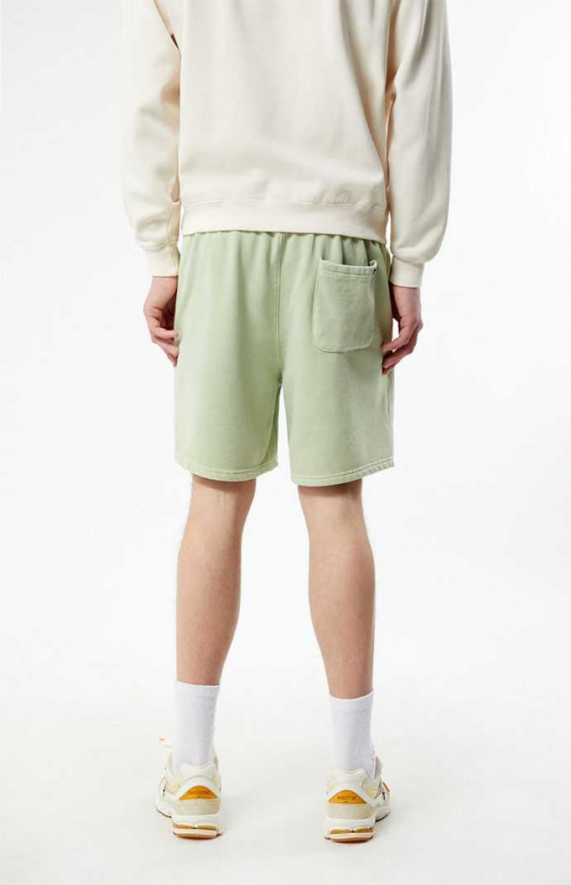 Short PacSun Sage Volley Homme Vert Olive | 849635AQC