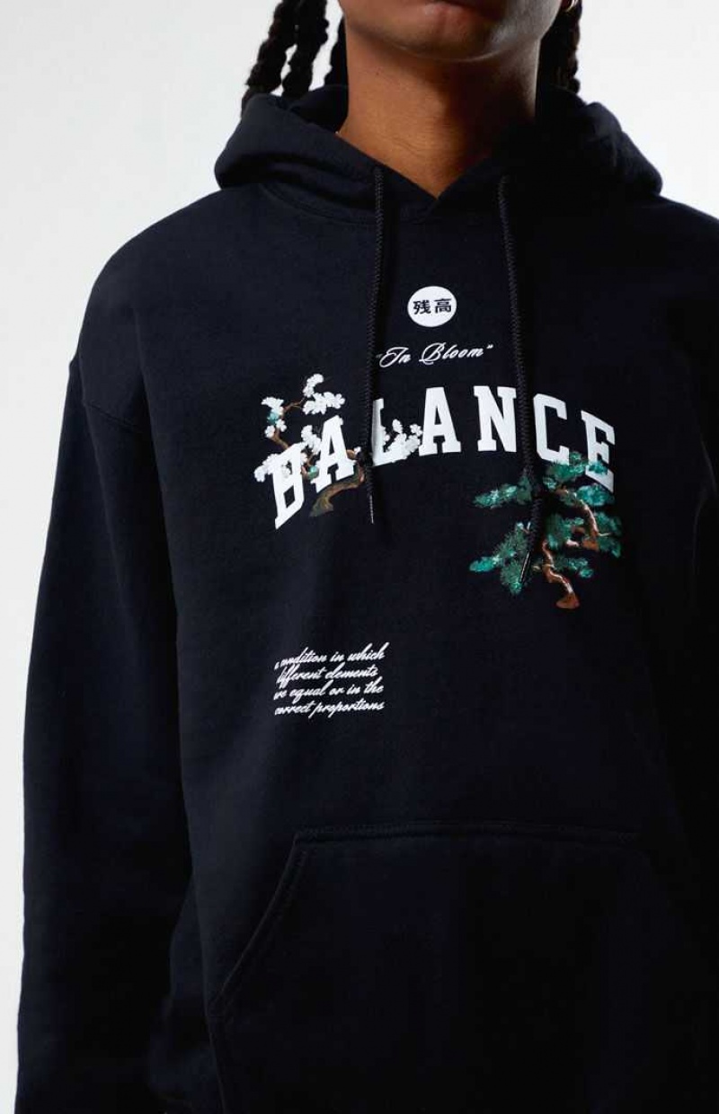 Sweat a Capuche PacSun Balance Homme Noir | 915283HJP