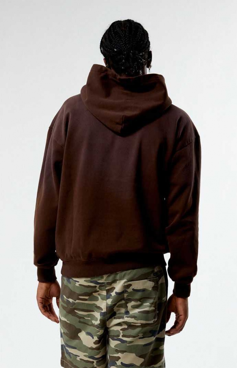 Sweat a Capuche PacSun Brown Potassium Vintage Wash Homme Marron | 758694FXU