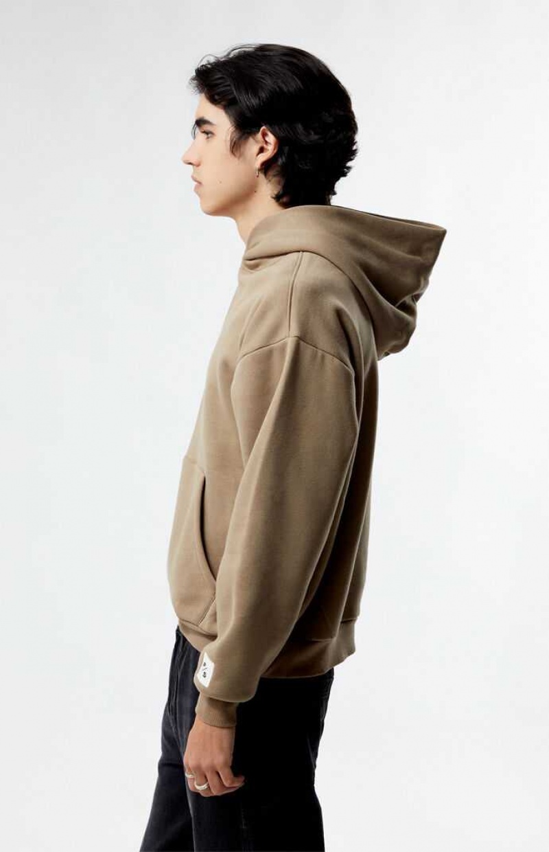 Sweat a Capuche PacSun Desert Taupe Solid Homme Grise Marron | 028917HTD