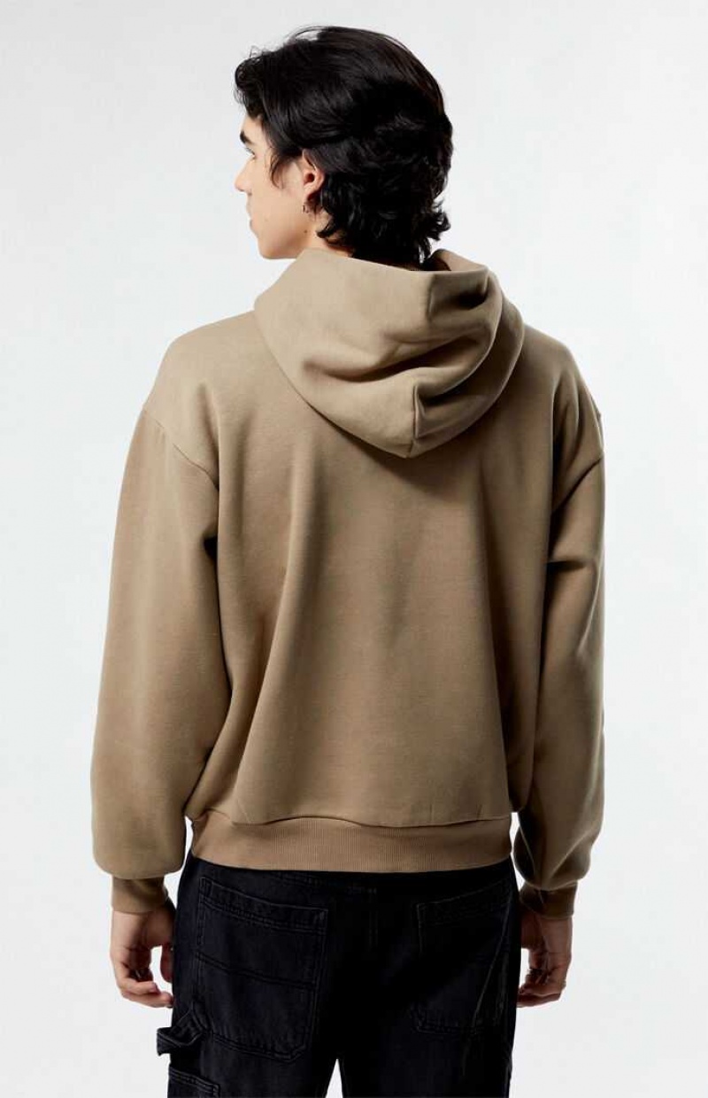 Sweat a Capuche PacSun Desert Taupe Solid Homme Grise Marron | 028917HTD