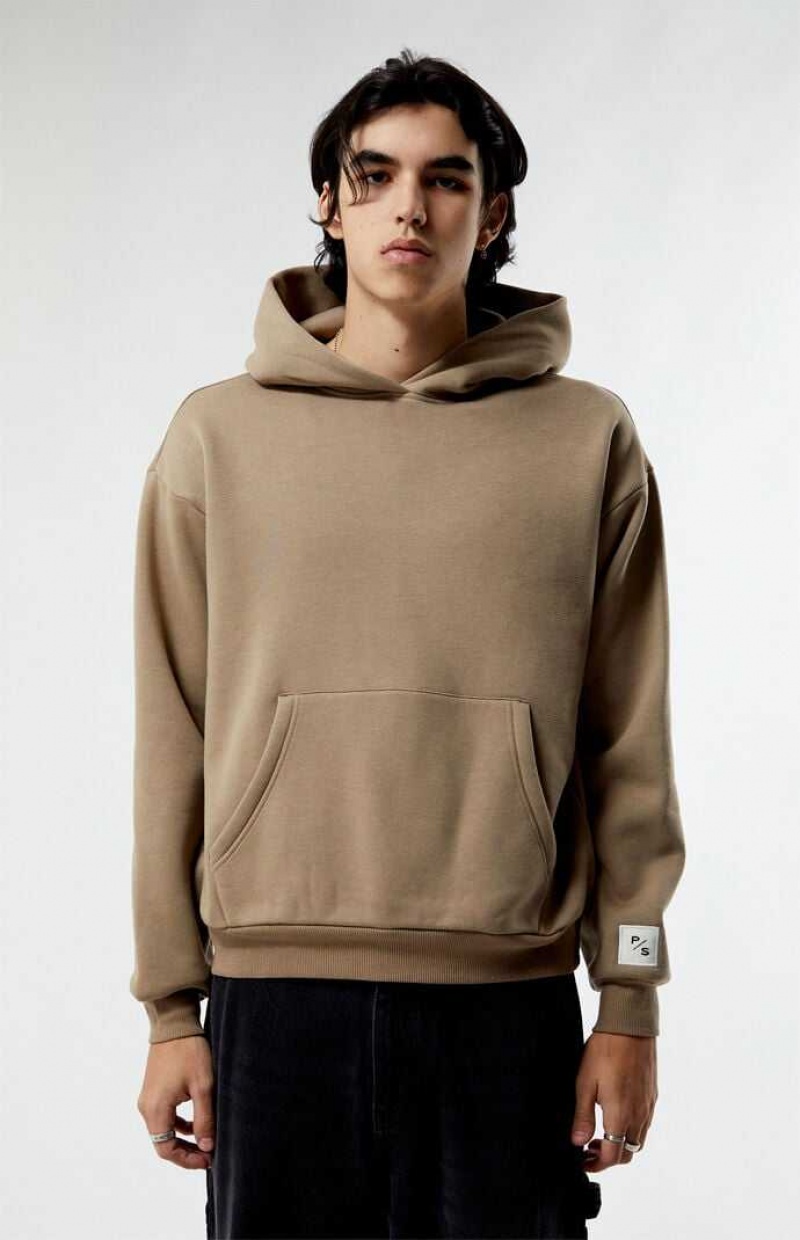 Sweat a Capuche PacSun Desert Taupe Solid Homme Grise Marron | 028917HTD